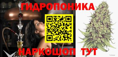 прущие крисы Изобильный