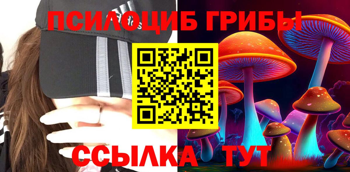 Людиново  Псилоцибиновые грибы Psilocybine cubensis  Вход с VPN 