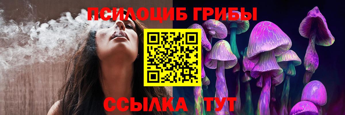 Псилоцибиновые грибы мицелий Людиново